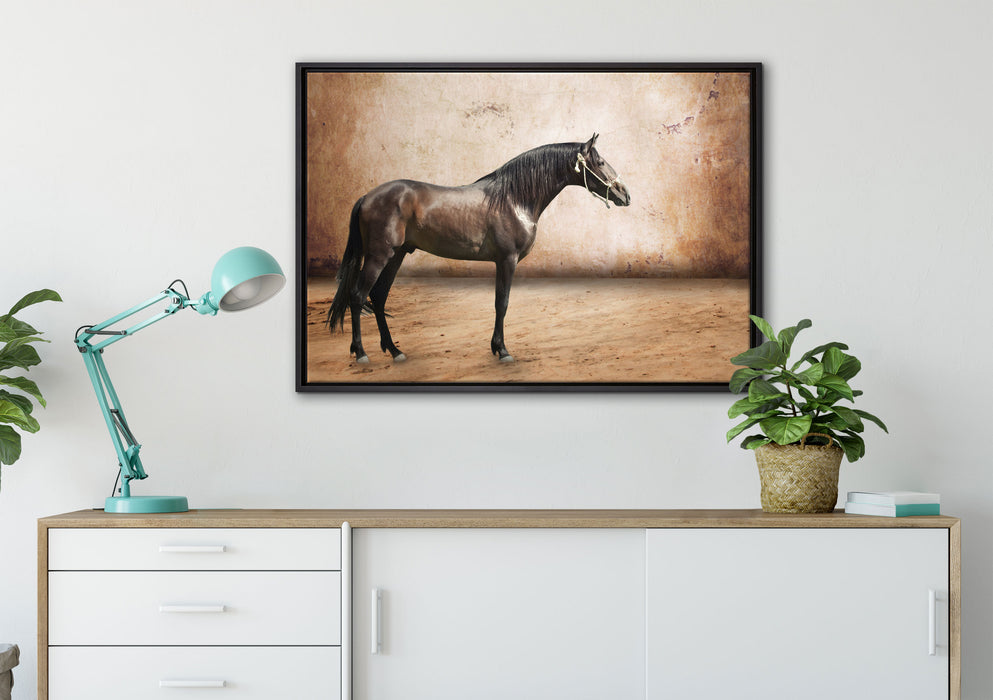 Brauner Hengst auf Leinwandbild gerahmt verschiedene Größen im Wohnzimmer