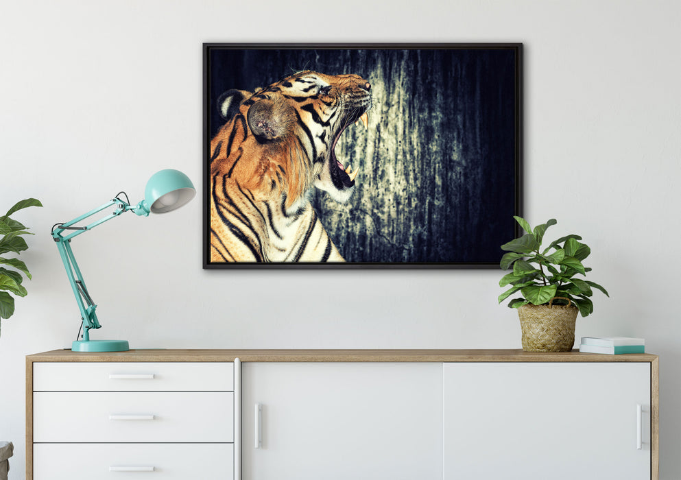 Brüllender Tiger auf Leinwandbild gerahmt verschiedene Größen im Wohnzimmer