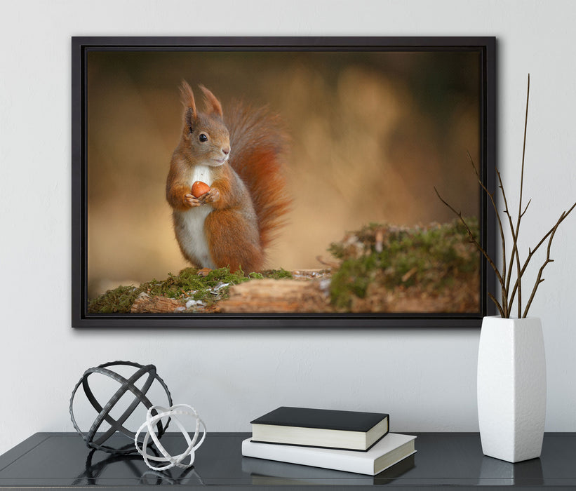 Freches Eichhörnchen mit Nuss auf Leinwandbild gerahmt mit Kirschblüten