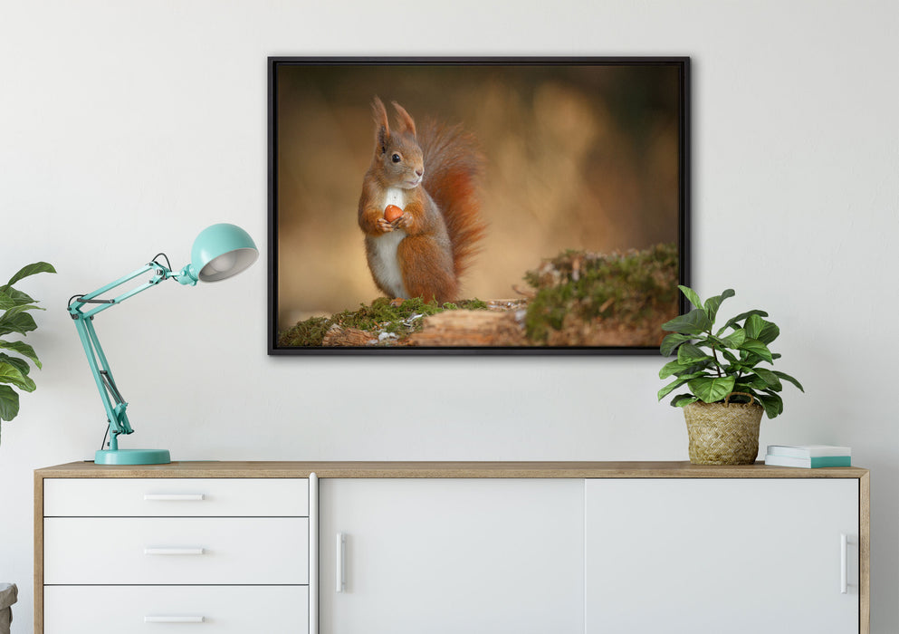 Freches Eichhörnchen mit Nuss auf Leinwandbild gerahmt verschiedene Größen im Wohnzimmer