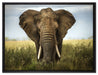 Imposanter Elefant auf Leinwandbild gerahmt Größe 80x60