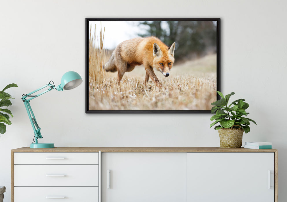 Schöner Fuchs auf Leinwandbild gerahmt verschiedene Größen im Wohnzimmer