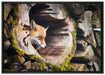 Fuchs im Baumstamm auf Leinwandbild gerahmt Größe 100x70