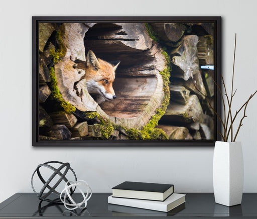 Fuchs im Baumstamm auf Leinwandbild gerahmt mit Kirschblüten