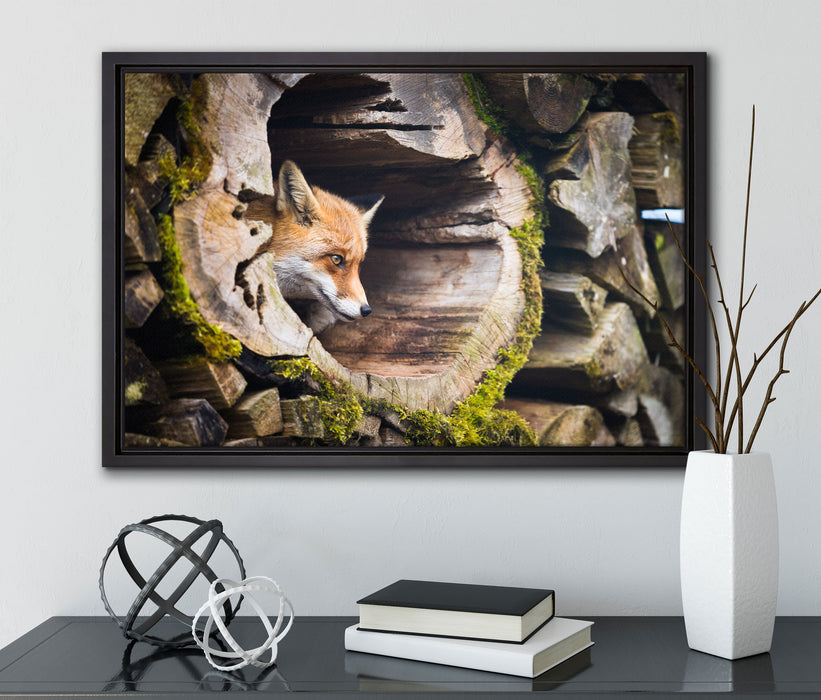 Fuchs im Baumstamm auf Leinwandbild gerahmt mit Kirschblüten
