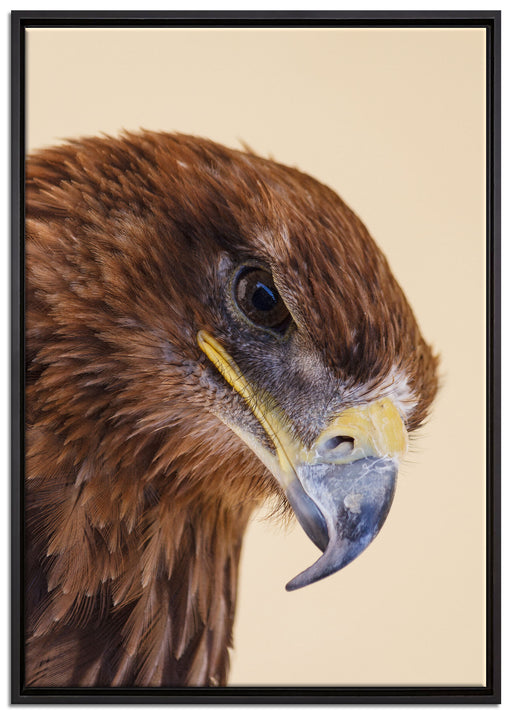 Adler Porträt auf Leinwandbild gerahmt Größe 100x70
