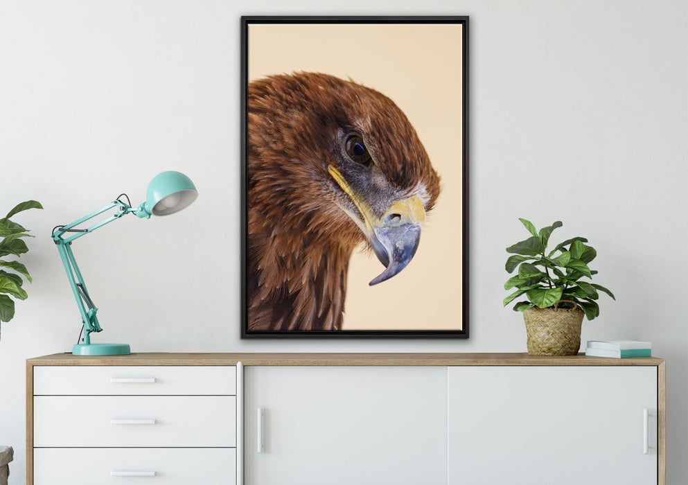 Adler Porträt auf Leinwandbild gerahmt verschiedene Größen im Wohnzimmer