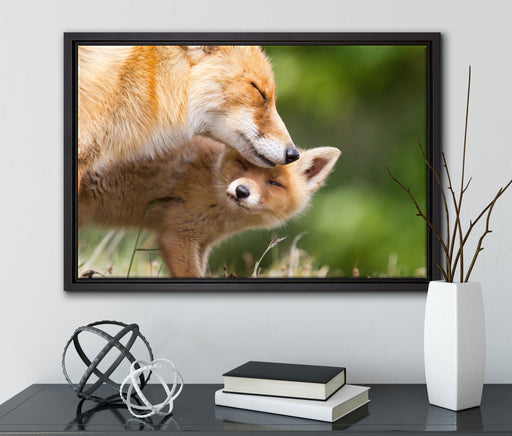 Kuschelnde Füchse auf Leinwandbild gerahmt mit Kirschblüten