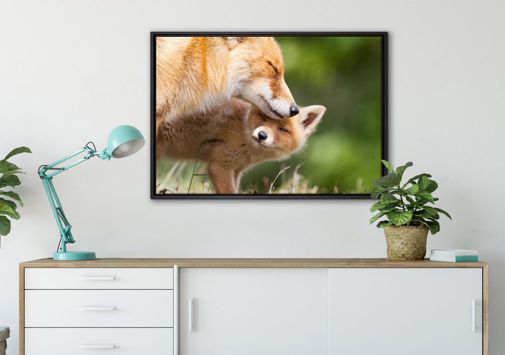 Kuschelnde Füchse auf Leinwandbild gerahmt verschiedene Größen im Wohnzimmer