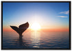 Walflosse im Sonnenuntergang auf Leinwandbild gerahmt Größe 100x70