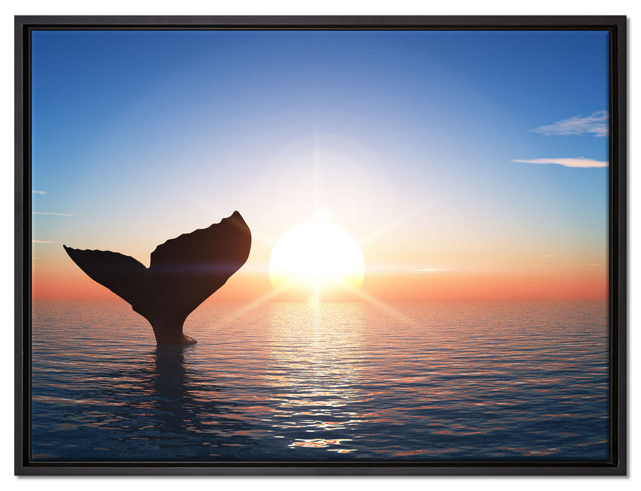 Walflosse im Sonnenuntergang auf Leinwandbild gerahmt Größe 80x60