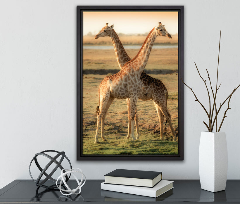 Giraffen Paar auf Leinwandbild gerahmt mit Kirschblüten