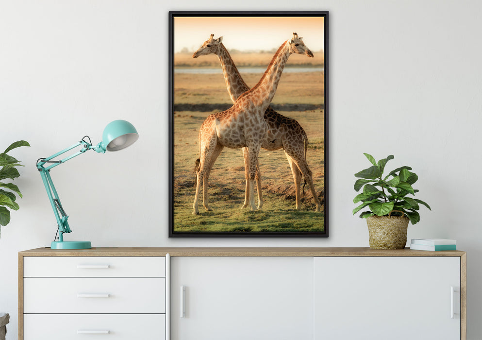 Giraffen Paar auf Leinwandbild gerahmt verschiedene Größen im Wohnzimmer