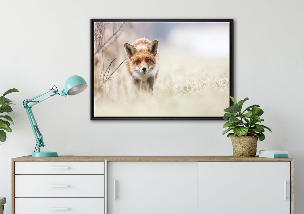 Schleichender fuchs auf Leinwandbild gerahmt verschiedene Größen im Wohnzimmer