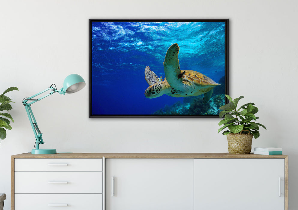 Schildkröte im Riff auf Leinwandbild gerahmt verschiedene Größen im Wohnzimmer