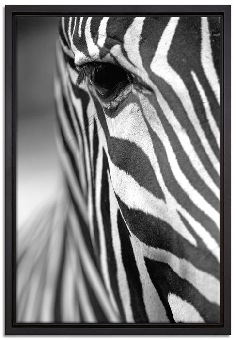Zebra Nahaufnahme auf Leinwandbild gerahmt Größe 60x40