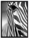 Zebra Nahaufnahme auf Leinwandbild gerahmt Größe 80x60