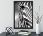 Zebra Nahaufnahme auf Leinwandbild gerahmt mit Kirschblüten