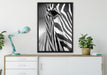 Zebra Nahaufnahme auf Leinwandbild gerahmt verschiedene Größen im Wohnzimmer