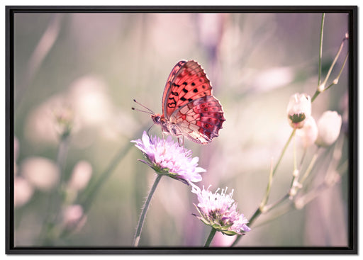 Bezaubernder Schmetterling auf Leinwandbild gerahmt Größe 100x70