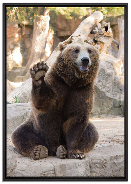 Bär sagt Hallo auf Leinwandbild gerahmt Größe 100x70