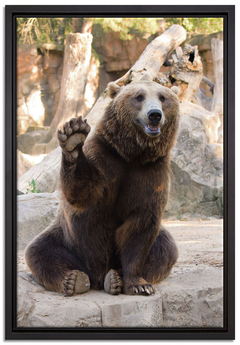 Bär sagt Hallo auf Leinwandbild gerahmt Größe 60x40