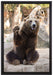 Bär sagt Hallo auf Leinwandbild gerahmt Größe 60x40