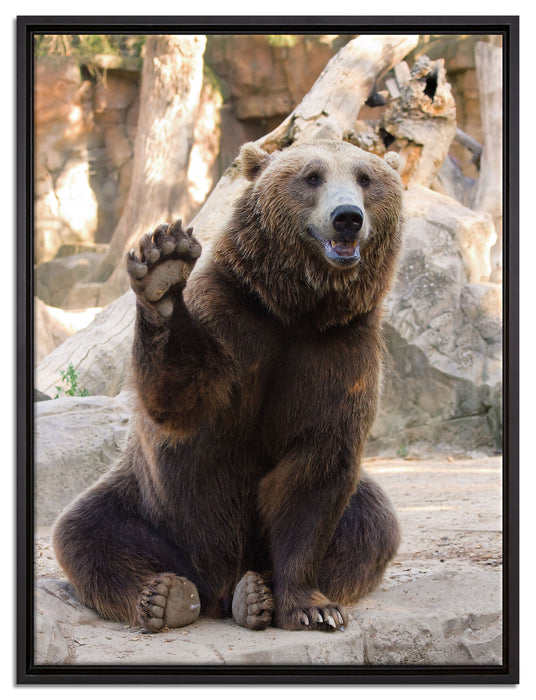 Bär sagt Hallo auf Leinwandbild gerahmt Größe 80x60