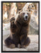 Bär sagt Hallo auf Leinwandbild gerahmt Größe 80x60