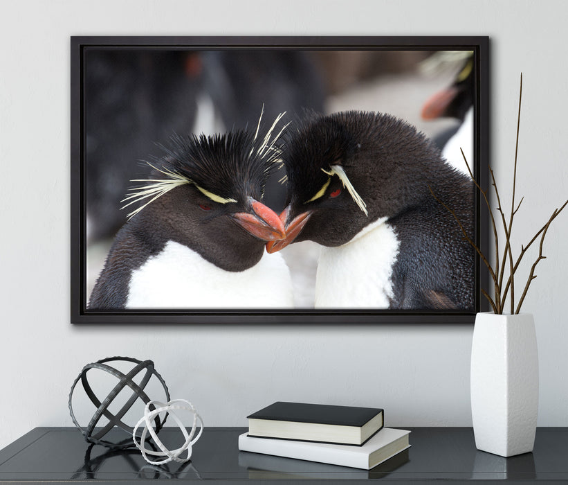 Pinguin Kuss auf Leinwandbild gerahmt mit Kirschblüten