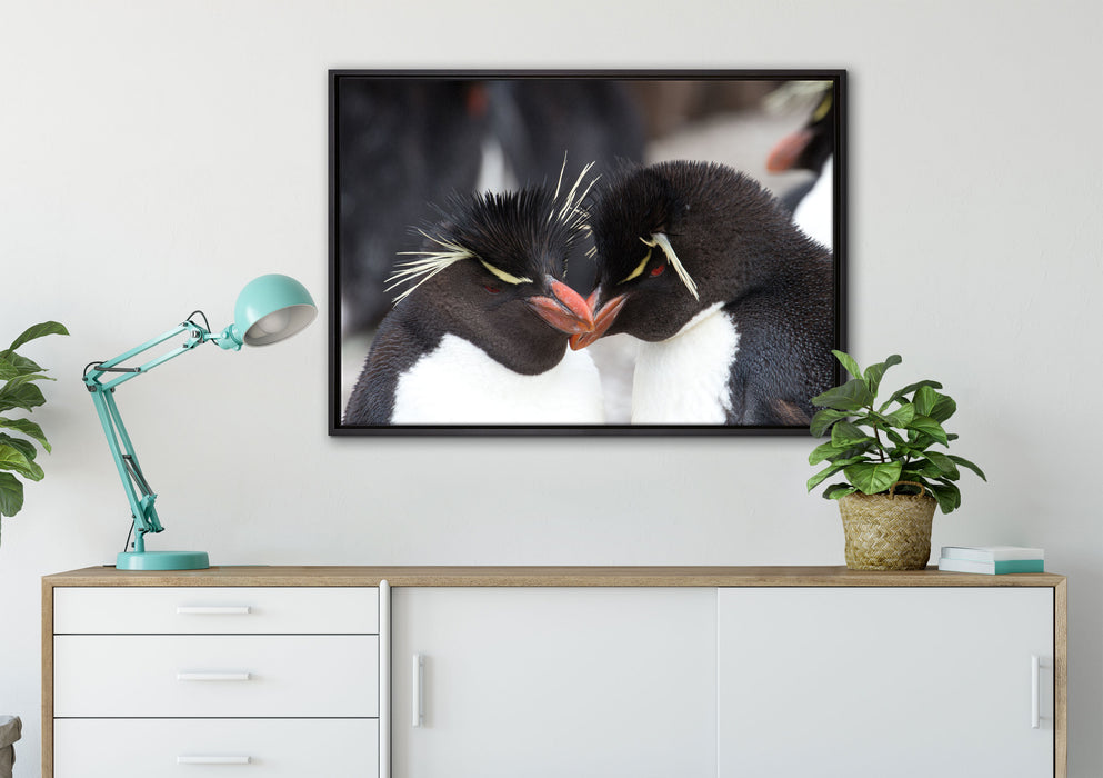 Pinguin Kuss auf Leinwandbild gerahmt verschiedene Größen im Wohnzimmer