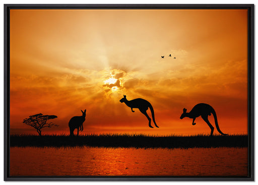 Kängurus im Sonnenlicht auf Leinwandbild gerahmt Größe 100x70
