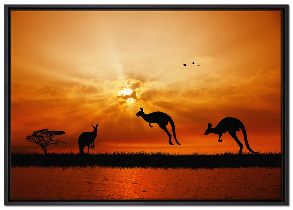 Kängurus im Sonnenlicht auf Leinwandbild gerahmt Größe 100x70
