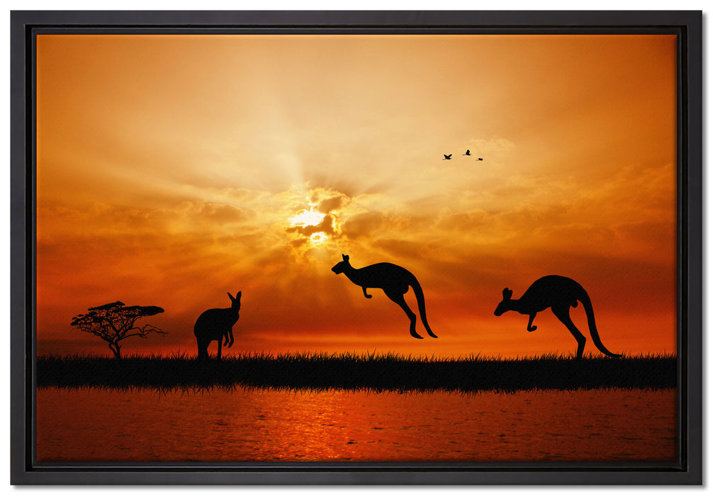 Kängurus im Sonnenlicht auf Leinwandbild gerahmt Größe 60x40