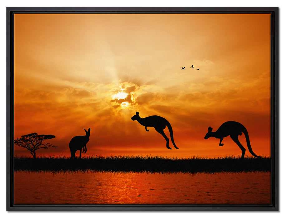 Kängurus im Sonnenlicht auf Leinwandbild gerahmt Größe 80x60
