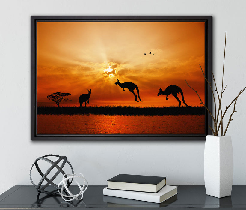 Kängurus im Sonnenlicht auf Leinwandbild gerahmt mit Kirschblüten