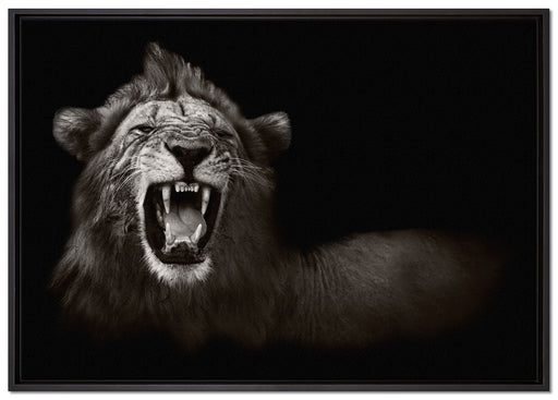 Dark Brüllender Löwe auf Leinwandbild gerahmt Größe 100x70