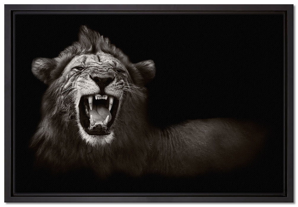 Dark Brüllender Löwe auf Leinwandbild gerahmt Größe 60x40