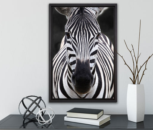 Zebra Porträt auf Leinwandbild gerahmt mit Kirschblüten