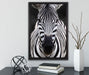 Zebra Porträt auf Leinwandbild gerahmt mit Kirschblüten