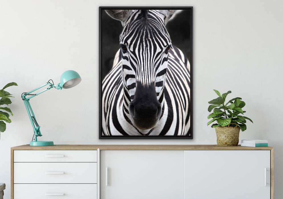 Zebra Porträt auf Leinwandbild gerahmt verschiedene Größen im Wohnzimmer