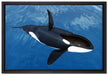 Orca im blauen Meer auf Leinwandbild gerahmt Größe 60x40