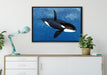 Orca im blauen Meer auf Leinwandbild gerahmt verschiedene Größen im Wohnzimmer