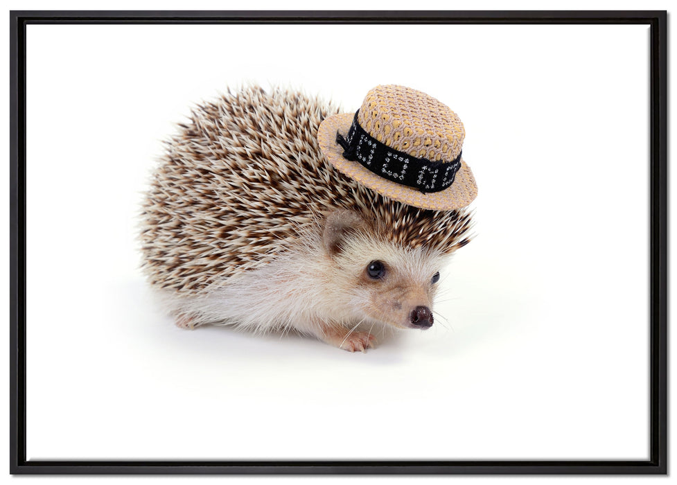 Lustiger Igel mit Hut auf Leinwandbild gerahmt Größe 100x70