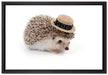 Lustiger Igel mit Hut auf Leinwandbild gerahmt Größe 60x40