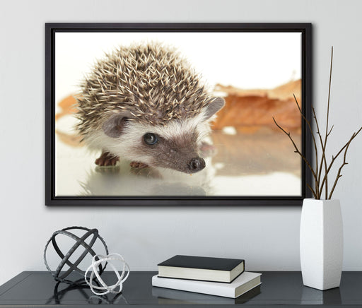 Süßer Igel auf Leinwandbild gerahmt mit Kirschblüten