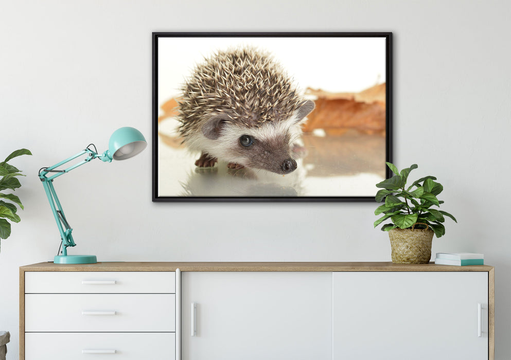Süßer Igel auf Leinwandbild gerahmt verschiedene Größen im Wohnzimmer