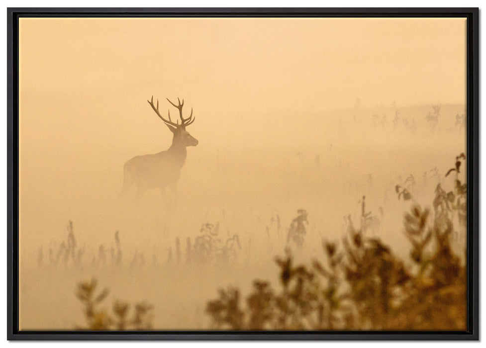 Hirsch im Nebel auf Leinwandbild gerahmt Größe 100x70
