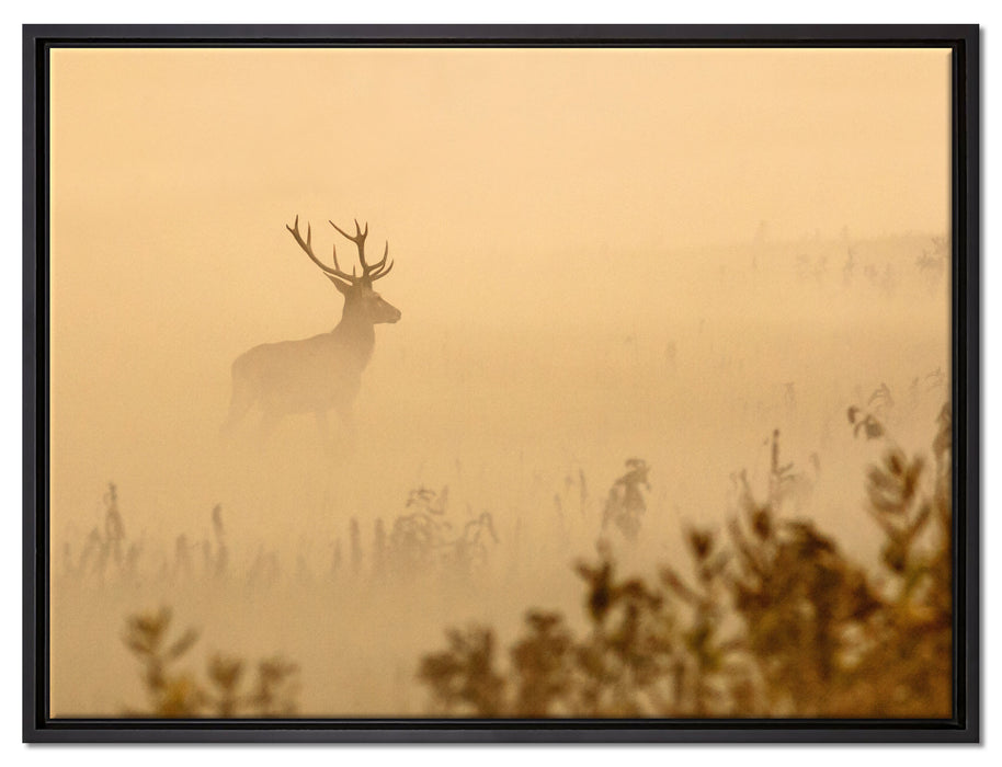 Hirsch im Nebel auf Leinwandbild gerahmt Größe 80x60