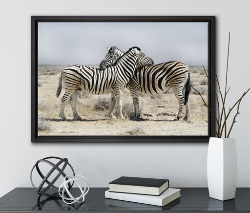 Schmusende Zebras auf Leinwandbild gerahmt mit Kirschblüten